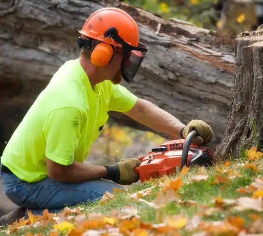 tree services Plainfield